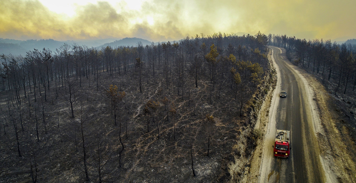 معطيات جهود إخماد حرائق الغابات في تركيا